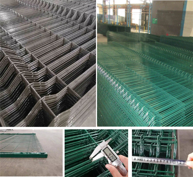 3000*1830mm Pvc покрыл загородку 3d ячеистой сети изогнули сваренную безопасность 2