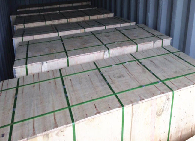 сеть отрезка 0.8mm сетки москита 10x10 11x11 SS 304 анти- для Windows 2