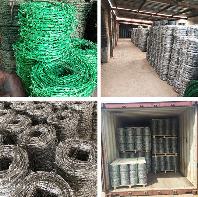 колючая проволока 14x14 провода 12x12 3.2mm горячая окунутая гальванизированная серебряная 1