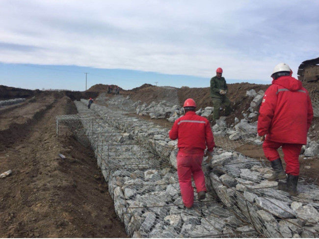 PVC 1×1×1m покрыл корзины сетки Gabion 380 клеток сетки подпорной стенки Mpa HBGB 3
