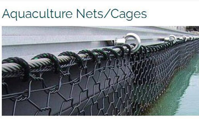 OEM полиэстера плетения провода Gabion извива 50mm* 60mm шестиугольный 3